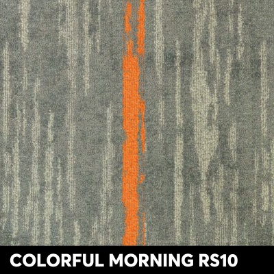 COLORFUL MORNING RS10