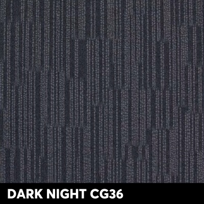 DARK NIGHT CG36