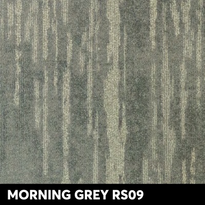 MORNING GREY RS09